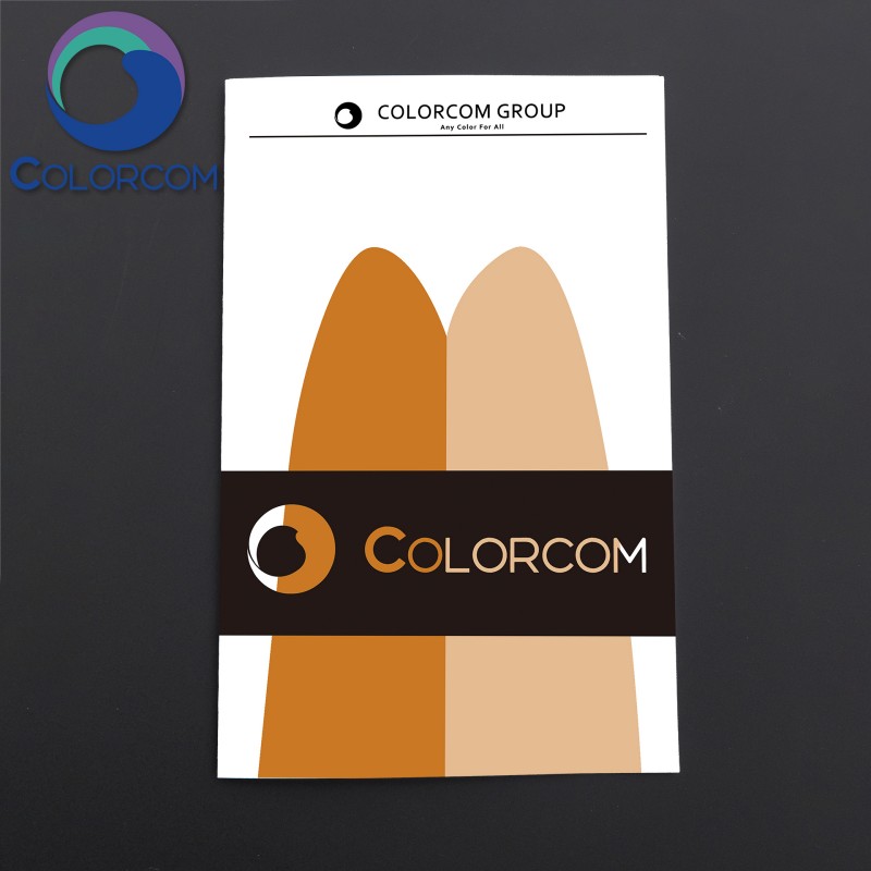 High Purity Iron Oxide Yellow | Pigment Yellow 42 | ColorFerrox Yellow HP310 | 51274-00-1