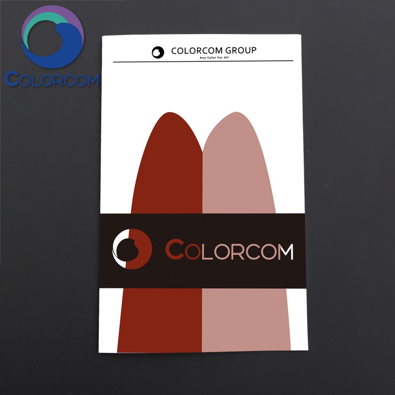 Transparent Iron Oxide Red | Pigment Red 101 | NanoFerrox Red T2271 | 1309-37-1