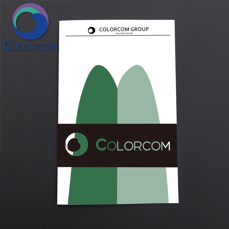 Green Chromium Oxide | Pigment Green 17 | ColorCrom Green 3820 | 1308-38-9