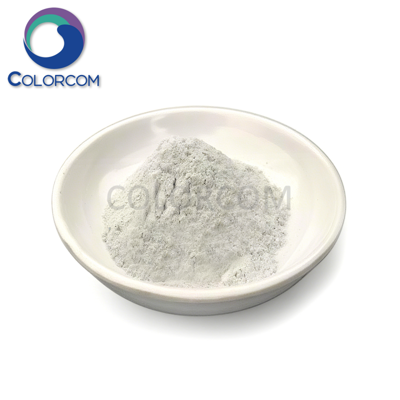 Wollastonite Powder | Needle Wollastonite | Calcium Metasilicate | CaSiO3 Wollastonite Powder for Ceramics Industry | High CaO Wollastonite Powder | 13983-17-0