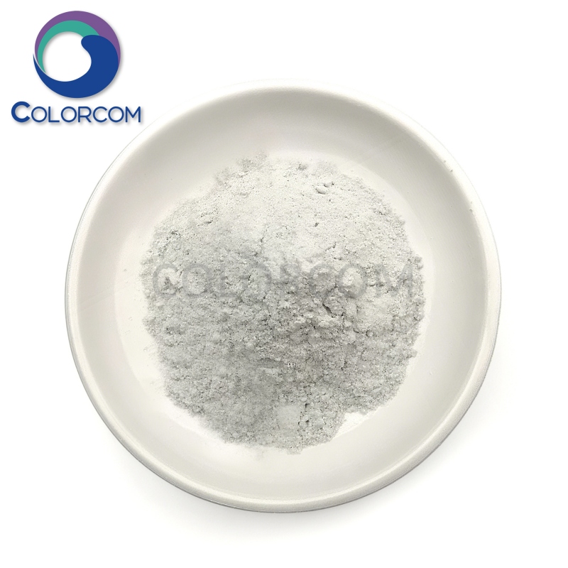 White Bentonite Powder | Ceramic Bentonite Powder | Montmorillonite Powder | 1302-78-9